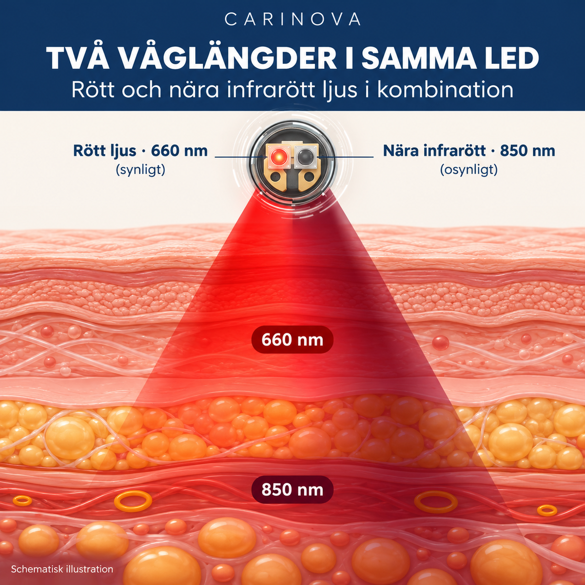 Carinova™ Rödljusterapi för fötterna